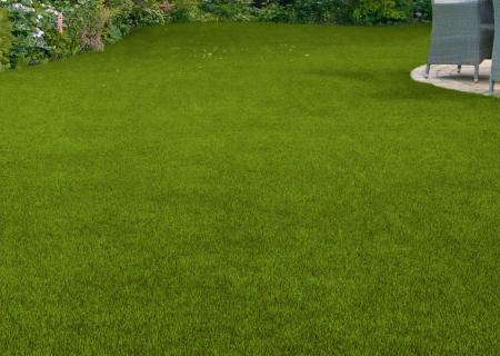 feature grass