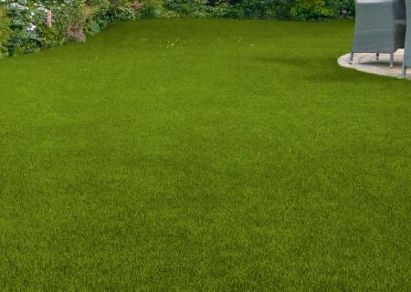 feature grass